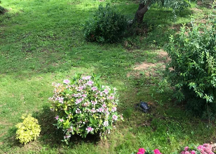 Grande Familiale Verte Bonnement Bien 3*